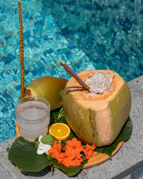 🥥 ¡Descubre 7 Bebidas Refrescantes con Coco que Te Encantarán! 🌴🥤