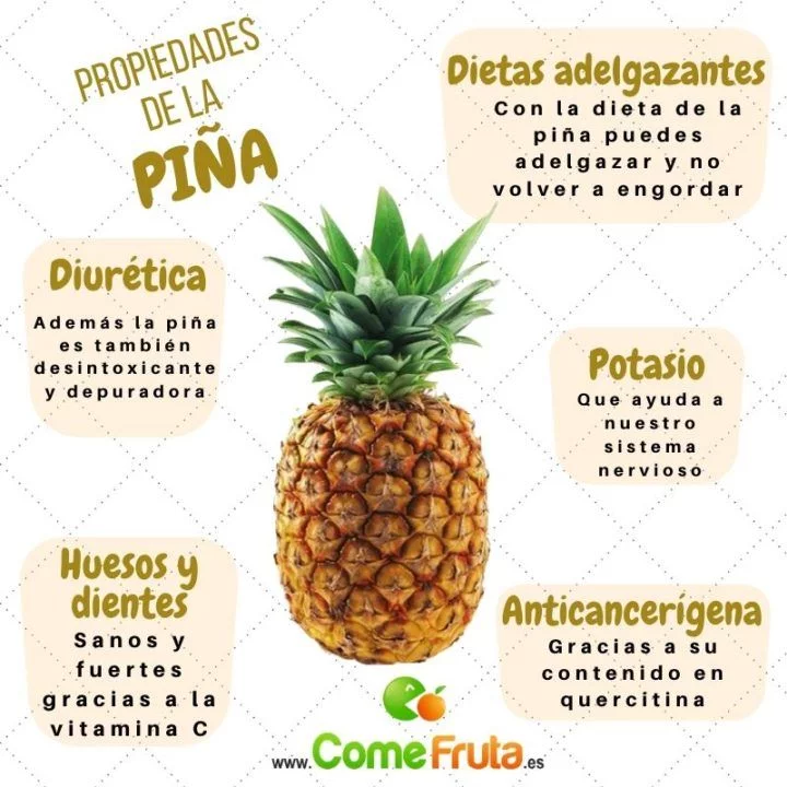 🌟 ¡Descubre las Sorprendentes Características de Semillas de Piña ...