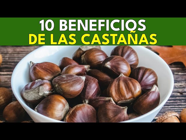 🌰 ¡Descubre el Poder de la Alimentación Saludable con Castañas! 🔥