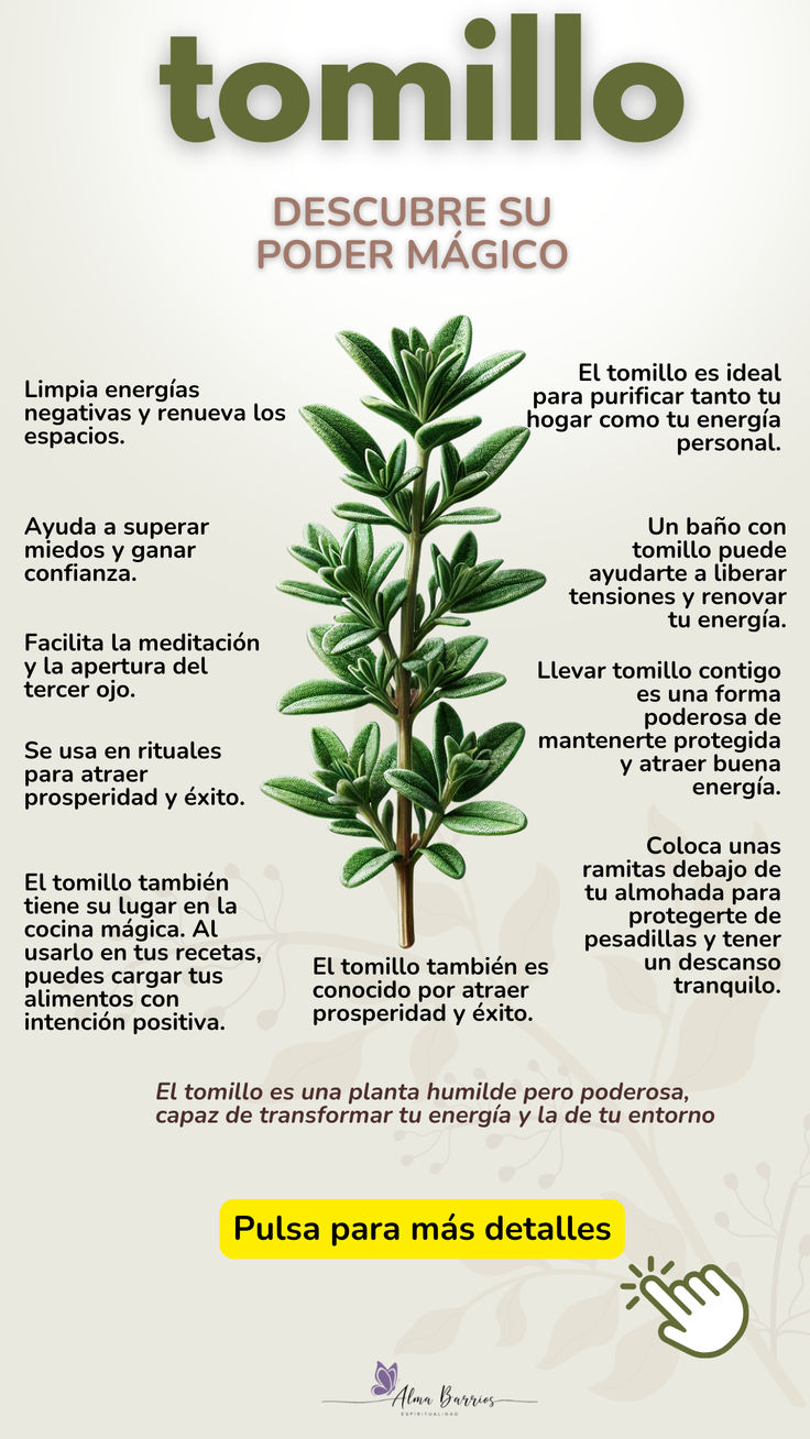 Sticker Tomillo 🌿 ¡Descubre la Magia de Colgar Tomillo y Sus Tradiciones Fascinantes!