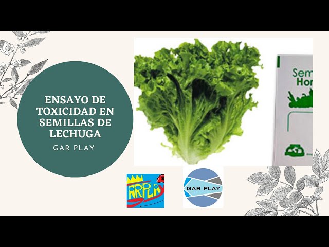 🍏 Descubre la Calculadora de Toxicidad de Semillas ¡Protege tu salud! 🚫🌿
